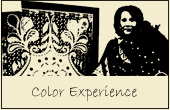 Color Experience